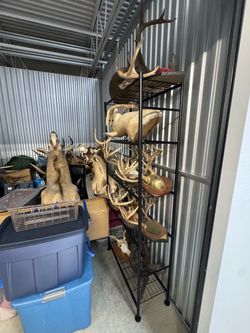 Various mounts