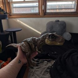 Jurassic Park T Rex