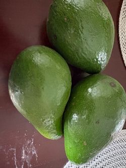 Organic Avocados