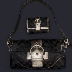 Coach Snakeskin Baguette bag 