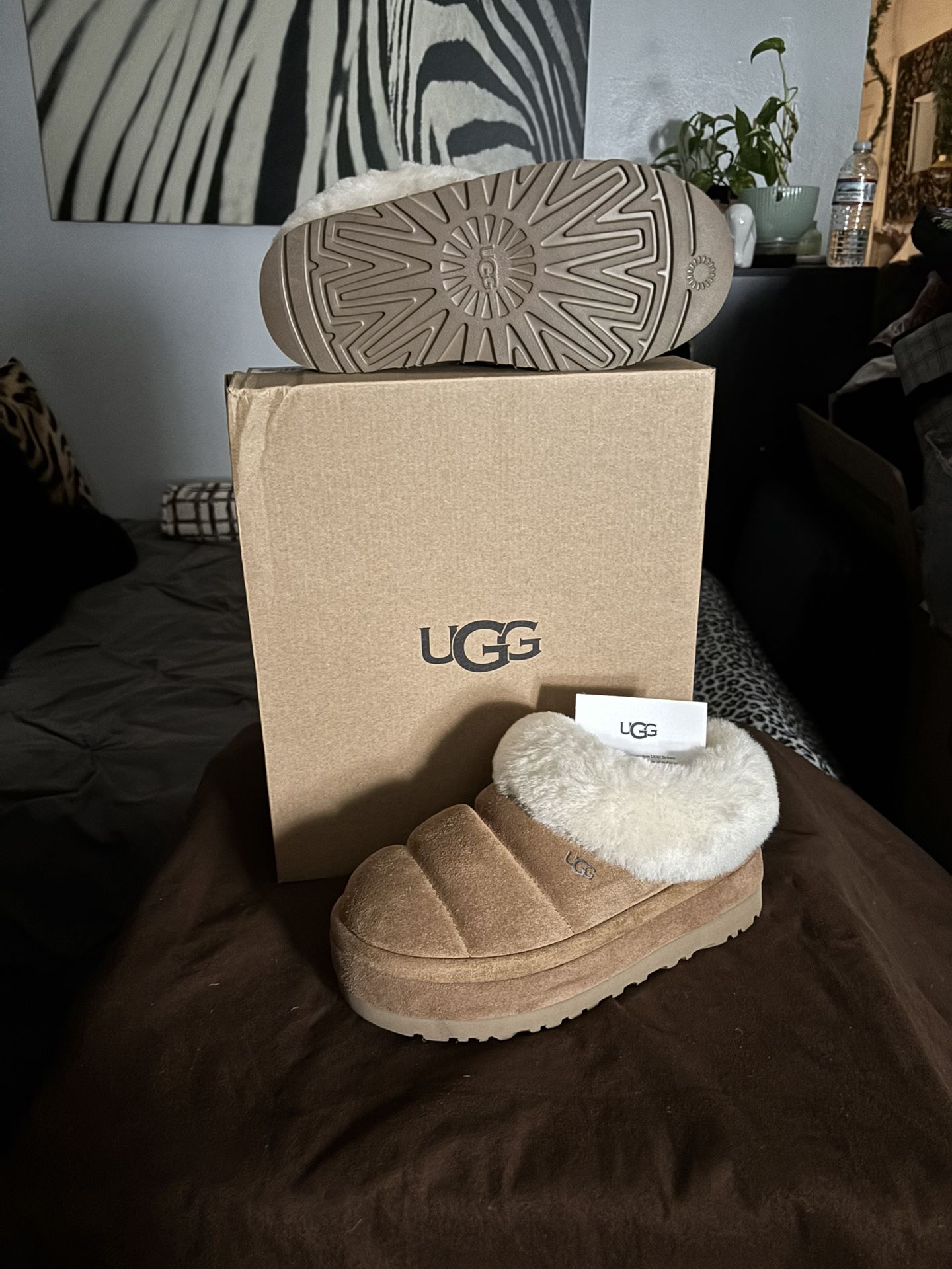 UGG booties