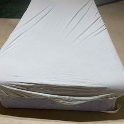 Twin Bed And Box Spring 