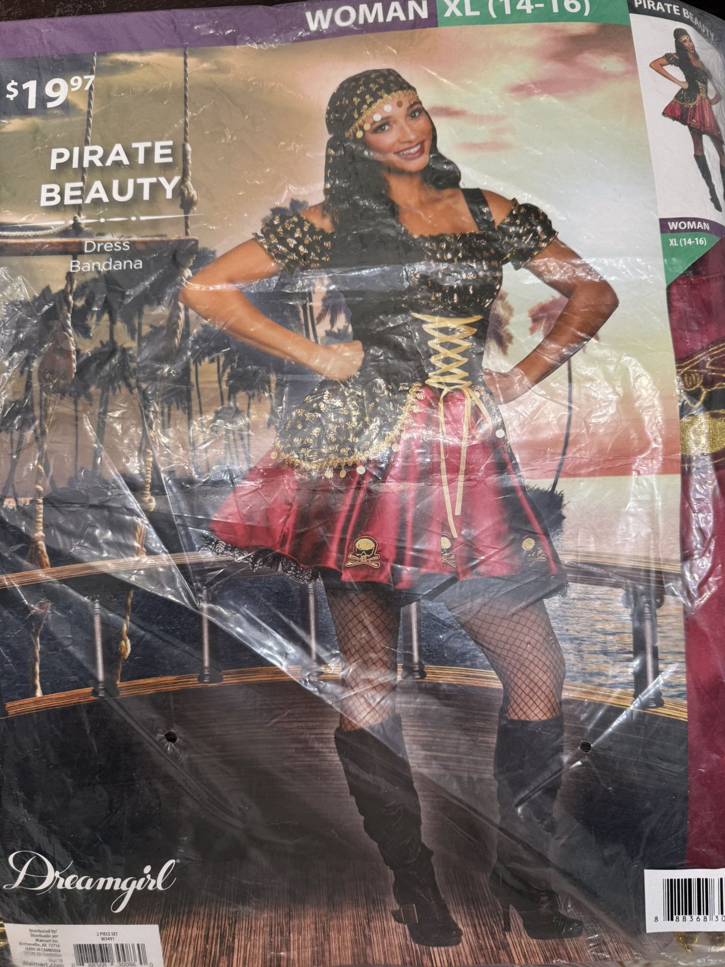 Pirate Halloween Costume
