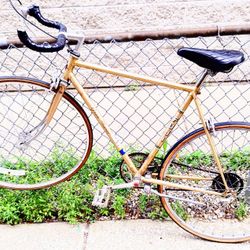 Champagne Gold Fuji Import Singlespeed Road Bike.  w/ bullhorn 