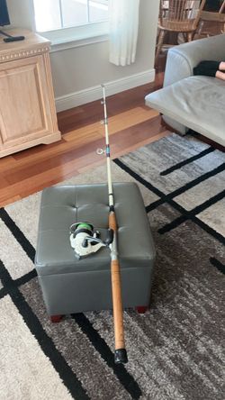 6 ft. 6 inch heavy saltwater rod,and reel.
