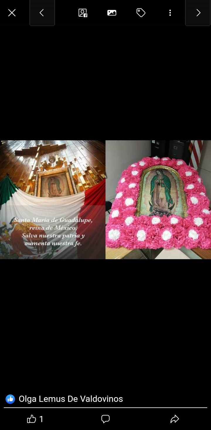 Virgen De Guadalupe En Madera Pintura  De Aceite Traida En Peregrinacion Desde 1999