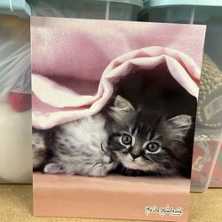 New Folder Keith Kimberlin Signature Pink  Kittens Cat  Class Act 