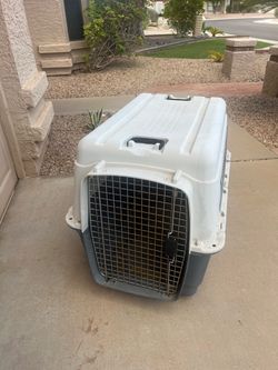 Large Hard-Shell Pet Travel Crate no