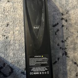 Rad Runner 2 E-bike Battery With Charger