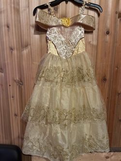 Princess Belle Costume