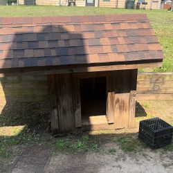 Dog House 