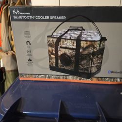Bluetooth Cooler Speaker.
