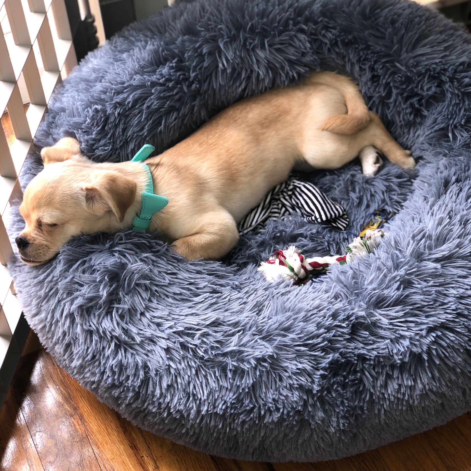 Round Calming Grey Pet Bed