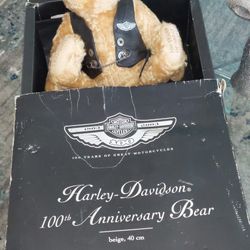 100 year anniversary Bear