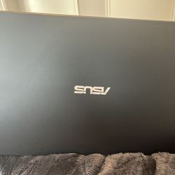 Asus Laptop 
