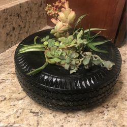 Suculant Indoor Outdoor Plant Yard Art Decor