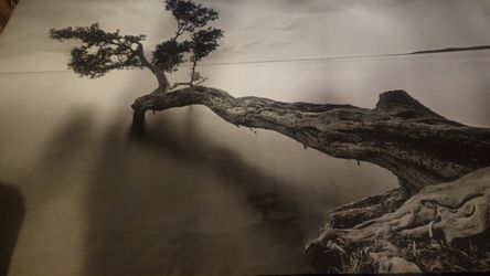 Canvas Art