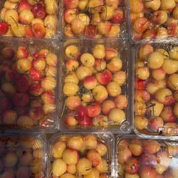 Rainier Sweet Cherries ✨ Extra juicy · Crisp · Naturally sweet  📦 2 lbs per box 💰 Only $15 each!  🛒 Limited quantity – grab yours while they’