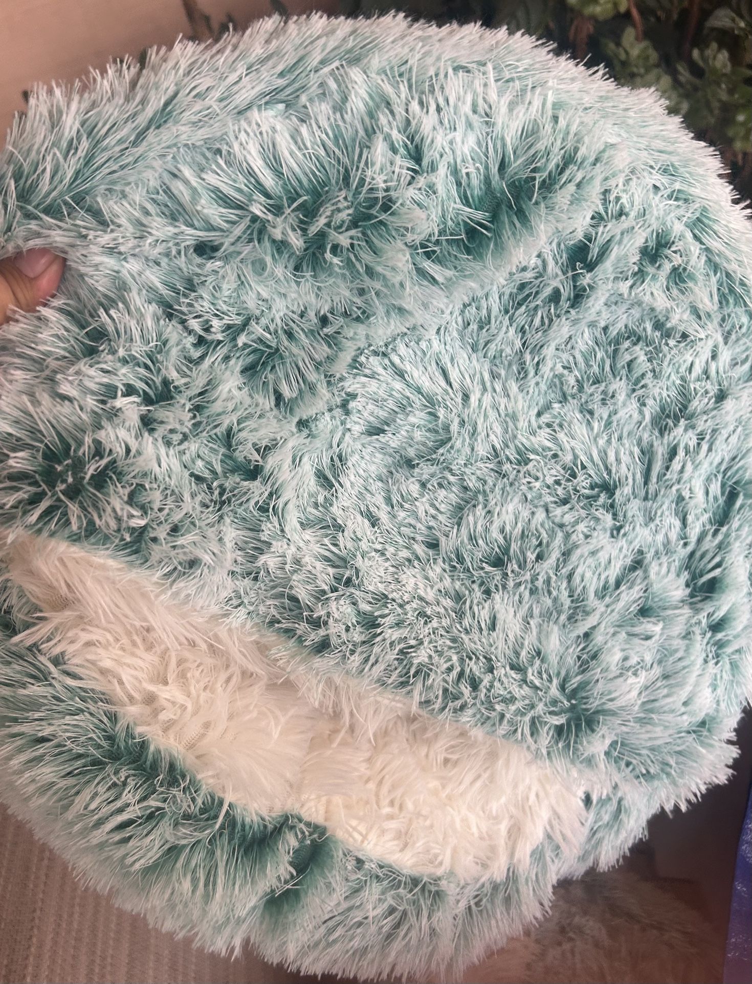 Cat Beds