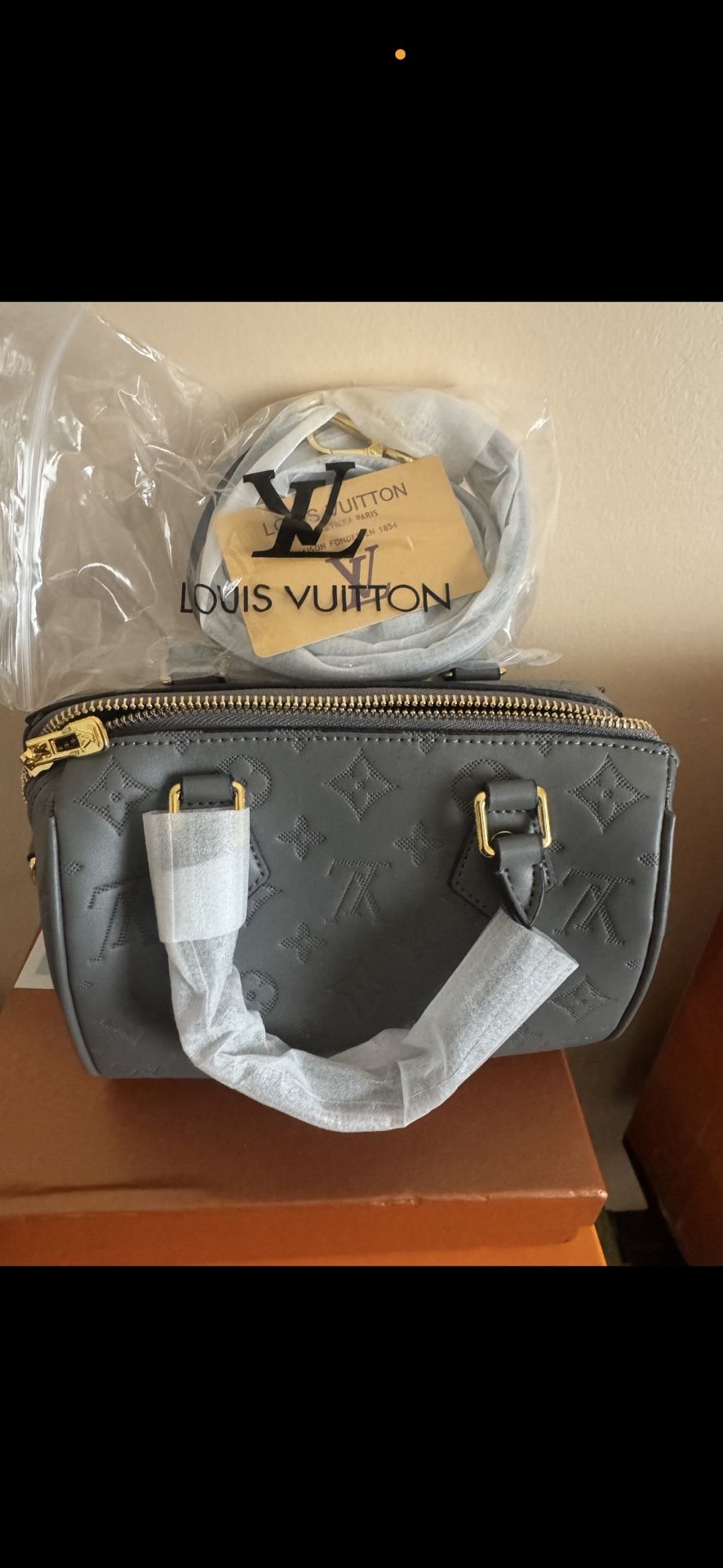 Louis Vuitton Handbag