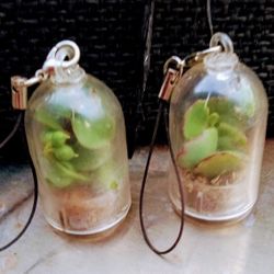 Live Plant Necklace Charm 