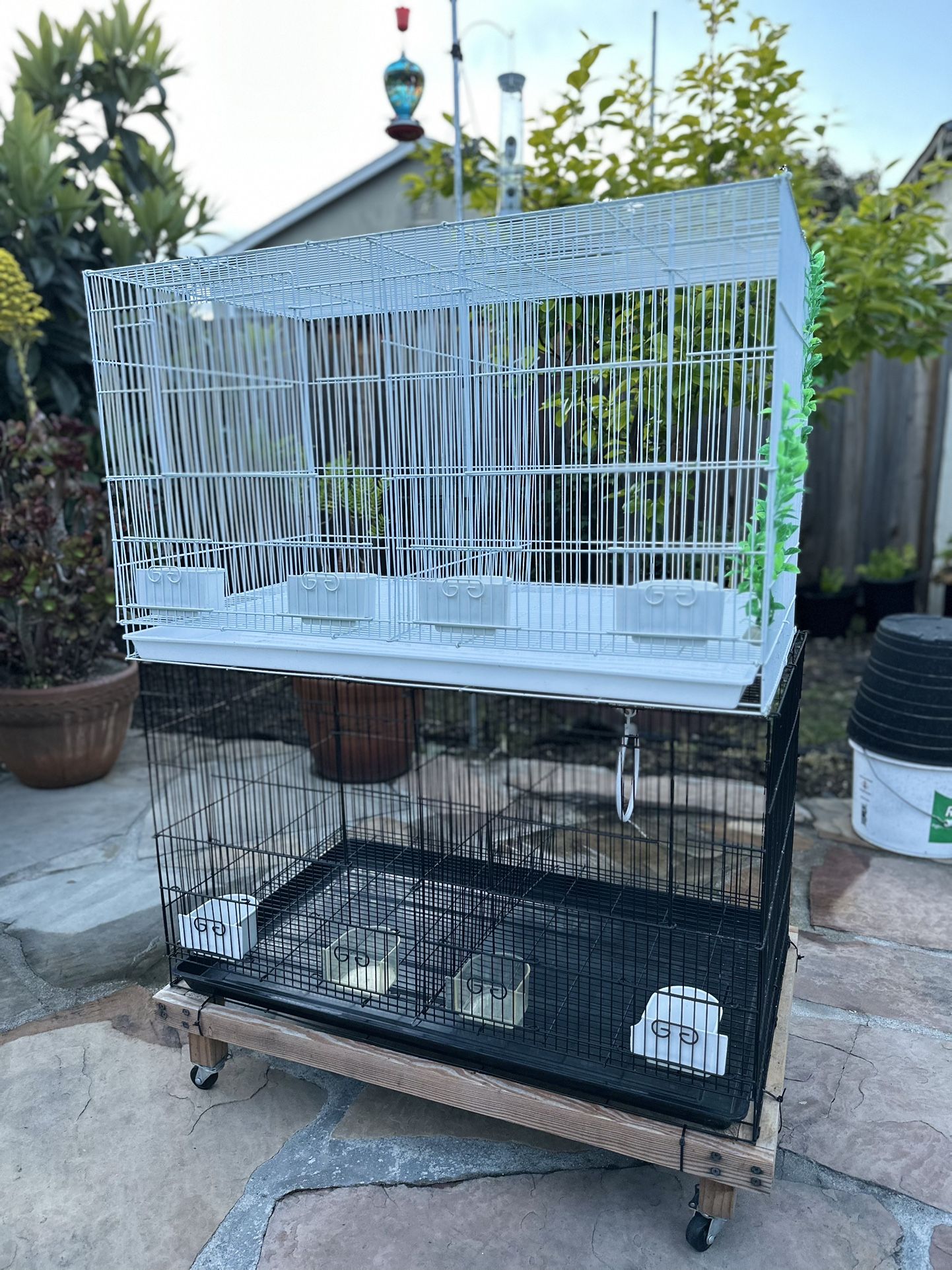 Bird Cages For Sell $50 Each