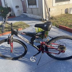 Mountain Bike