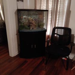 Fish Tank ,Stand, Extra