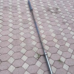 Olympic Barbell 45lbs 