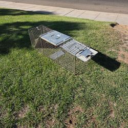 Animal trap