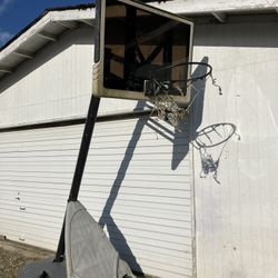 Portable Basketball Hoop 