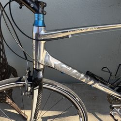 GIANT ESCAPE RX    (L) 