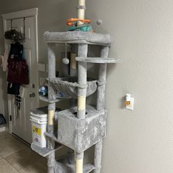 Cat pole with accessories and litter box