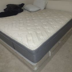 King size mattress and box springs.