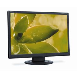 Desk Monitor In Box NEC AccuSync AS192WM 19 Inch Monitor 