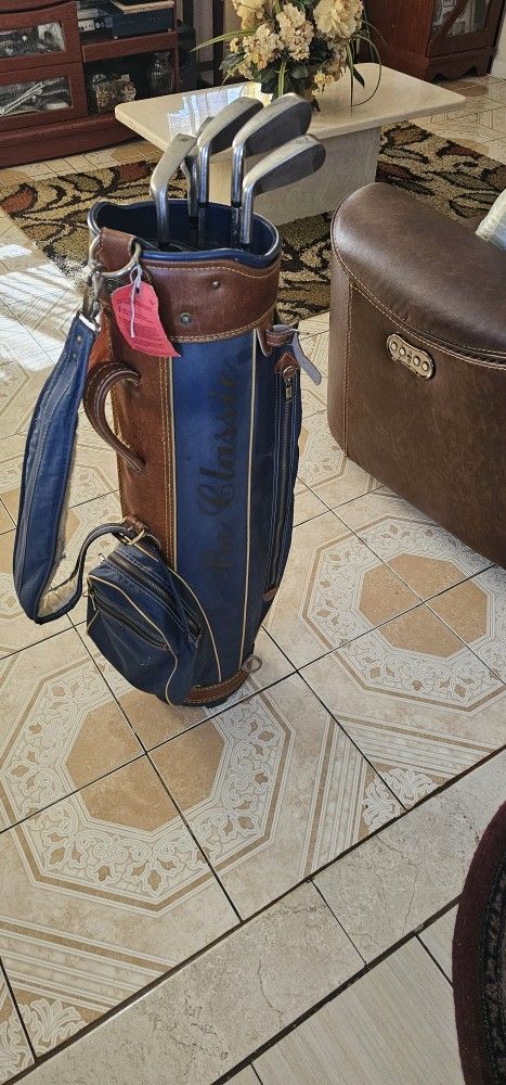 Golf Bag And A Few Clubs Pw,3,6,7,8 Irons 