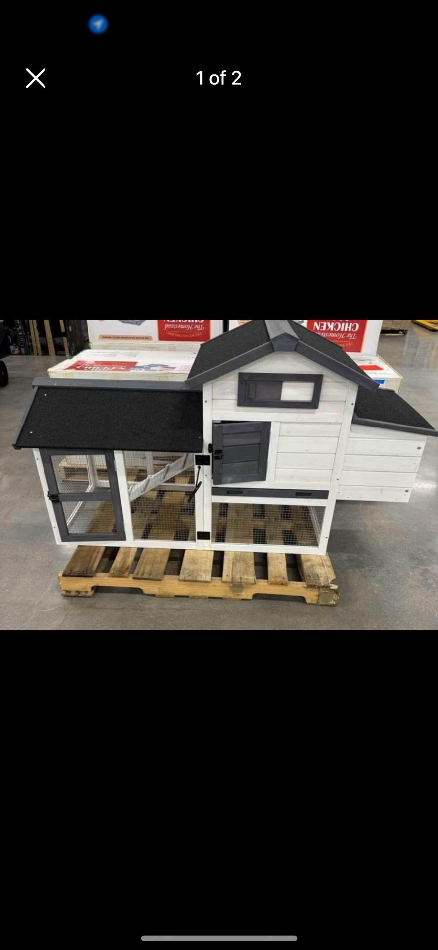 Chicken Coop