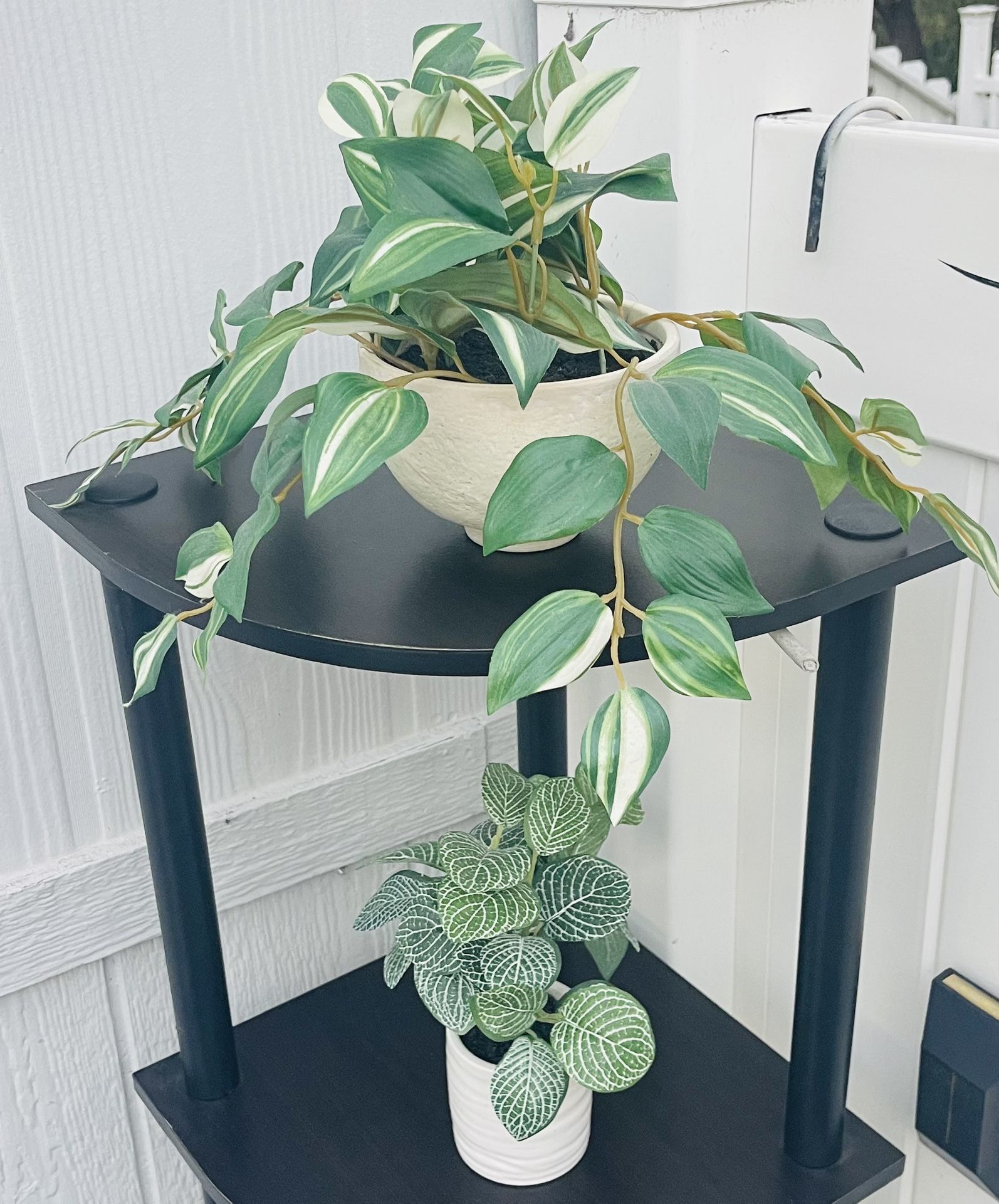 Two Ornamental Plastic Plants