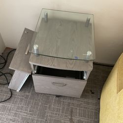 File Cabinet /Printer Table 