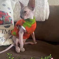 Cat Sweaters (triple Layer)