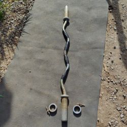 Hampton "Bulldog" Curl Bar