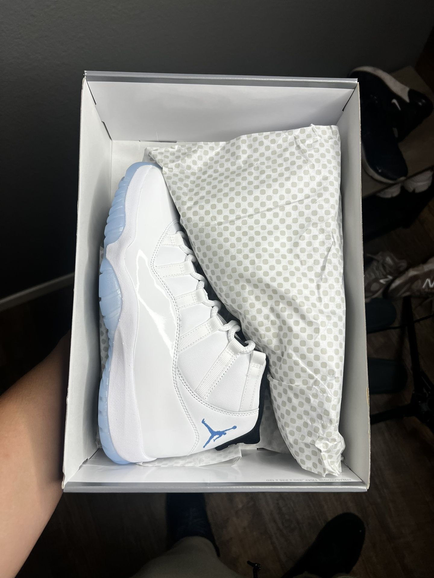 Jordan 11 Retro “Legend Blue”