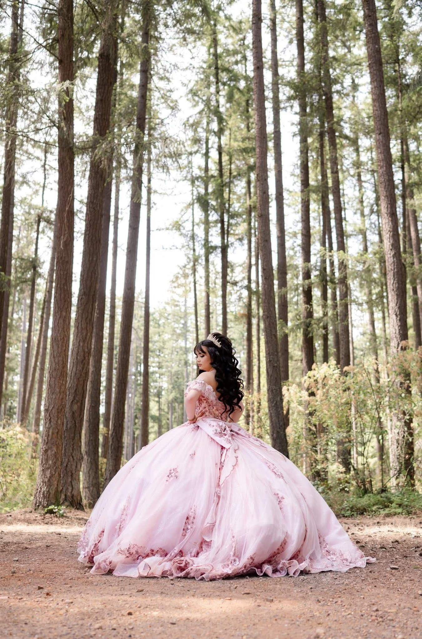 Quinceanera Dress Pink Birthday Teen