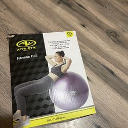 Pregnancy Exercises Ball