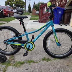 Specialized Riprock With Training Wheels