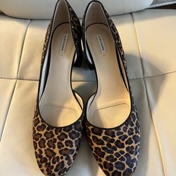 Women’s Shoes