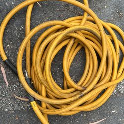 Dewalt 3/8" x 50' premium rubber air hose with quick disconnect fitting