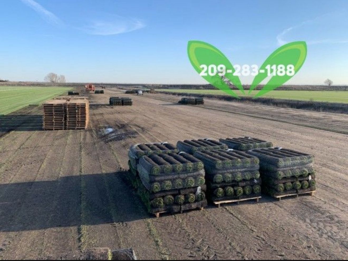 BEST QUALITY SOD