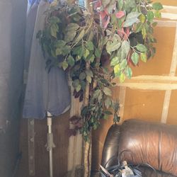 Pretty Large Fake Plant Home Office Business 