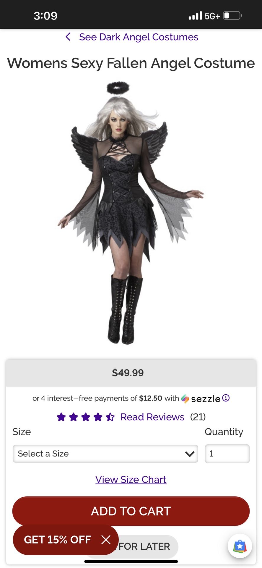 Fallen Angel Women Halloween Costume